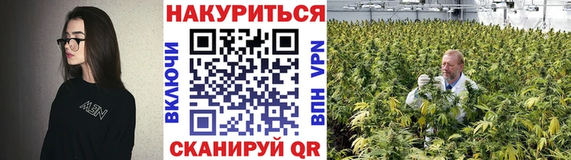Конопля гибрид  Усолье-Сибирское 